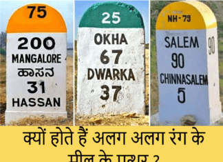 आखिर क्यों होते हैं अलग-अलग रंग के मील के पत्थर, जानिए इनके मतलब different colour milestones