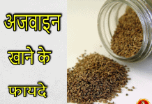 अजवाइन खाने के फायदे | Health Benefits of Carom Seeds in Hindi carom seeds in hindi