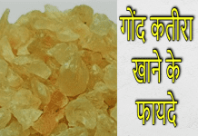गोंद कतीरा खाने के फायदे | Health Benefits of Gond Katira gond katira benefit