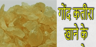 गोंद कतीरा खाने के फायदे | Health Benefits of Gond Katira gond katira benefit