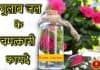 जानिए गुलाब जल के चमत्कारी फायदे – Gulab Jal Ke Fayde gulab jal ke fayde
