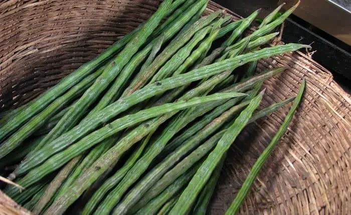 Moringa