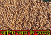 जानिए ज्वार के स्वास्थ्यवर्धक फायदे | Health Benefits of Jowar in Hindi jowar in hindi