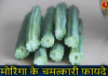 जानिए मोरिंगा के चमत्कारी फायदे | Health Benefits of Moringa in Hindi moringa in hindi