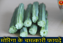 जानिए मोरिंगा के चमत्कारी फायदे | Health Benefits of Moringa in Hindi moringa in hindi