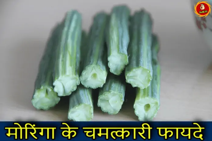 moringa in hindi