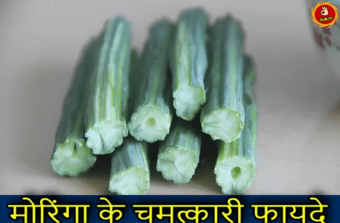 moringa in hindi