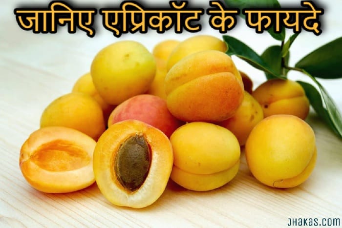 Benefits Of Apricot In Hindi Benefits Of Apricot In Hindi