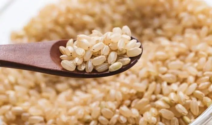 types of barley