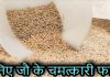 जानिए जौ के चमत्कारी फायदे | Amazing Benefits of Barley in Hindi barley in hindi