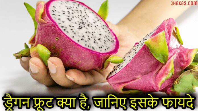 dragon fruit in hindi