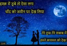 पढ़िए शानदार इश्क शायरी | Ishq shayari in Hindi ishq ki shayari