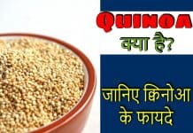 क्विनोआ क्या है जानिए इसके फायदे | Benefits of Quinoa in hindi quinoa in hindi