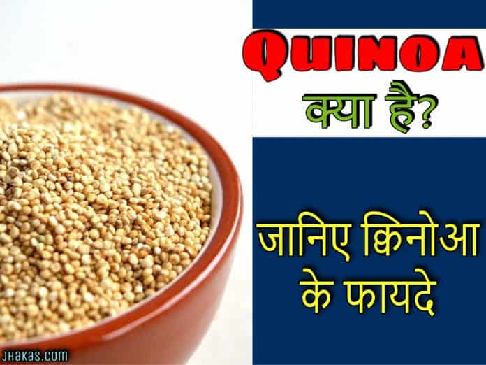 quinoa in hindi