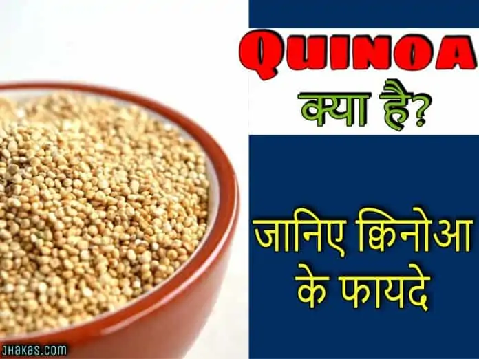 quinoa in hindi