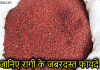 रागी क्या है, जानिए रागी खाने के फायदे | Benefits of Ragi in Hindi ragi in hindi