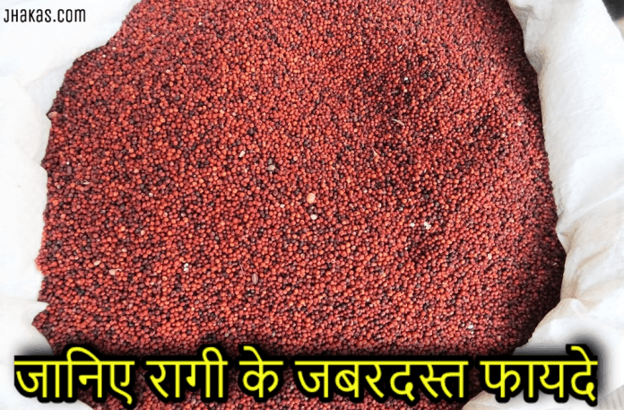 ragi in hindi