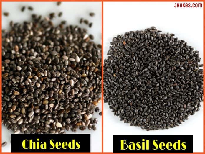 What is Chia Seeds in Hindi जानिए चिया बीज के फायदे