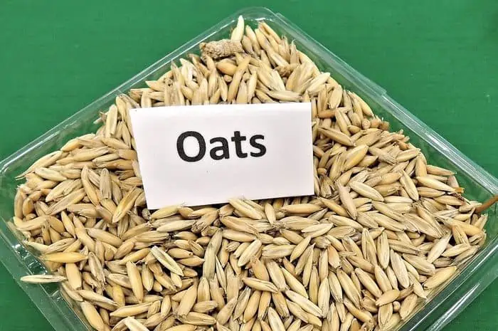 benefits of oats