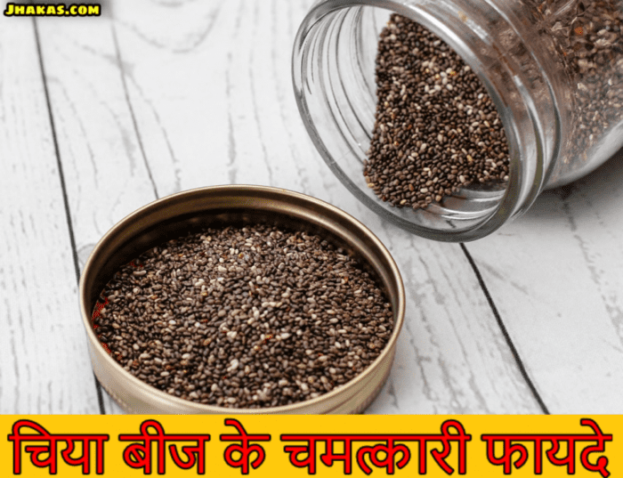 What is Chia Seeds in Hindi जानिए चिया बीज के फायदे