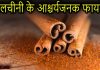 दालचीनी के फायदे और इससे जुड़ी सम्पूर्ण जानकारी | Benefits of Cinnamon in Hindi cinnamon in hindi