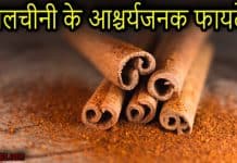 दालचीनी के फायदे और इससे जुड़ी सम्पूर्ण जानकारी | Benefits of Cinnamon in Hindi cinnamon in hindi