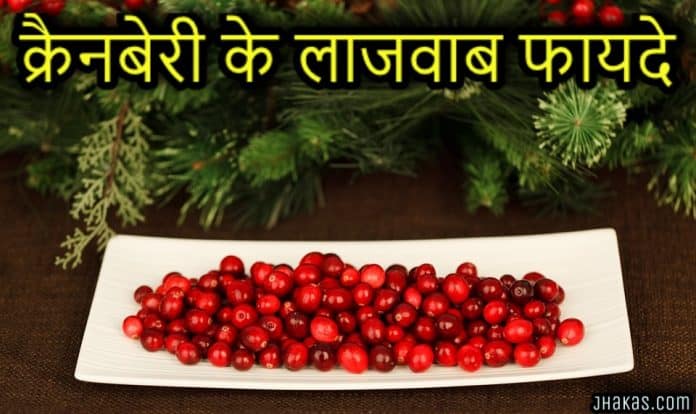 cranberry in hindi image