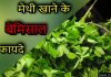 मेथी खाने के हैं बेमिसाल फायदे | Health Benefits of Fenugreek in Hindi fenugreek in hindi