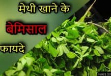 मेथी खाने के हैं बेमिसाल फायदे | Health Benefits of Fenugreek in Hindi fenugreek in hindi