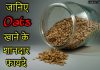 Oats क्या है? जानिए ओट्स खाने के बेहतरीन फायदे