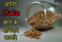 Oats क्या है? जानिए ओट्स खाने के बेहतरीन फायदे