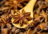 Star Anise क्या है? जानिए इसके स्वास्थ्यवर्धक फायदे Star anise in hindi