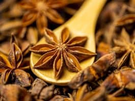 Star anise in hindi