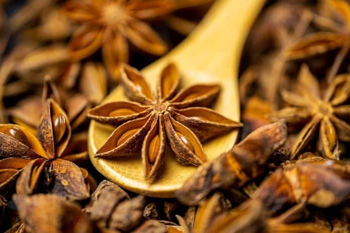 Star anise in hindi