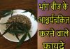 जानिए भांग बीज के आश्चर्यचकित करने वाले फायदे | Benefits of Hemp Seeds in Hindi hemp seeds in hindi