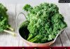 Kale क्या है? जानिए इसके फायदे | Benefits of kale in hindi