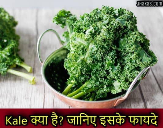 kale-benefits-of-kale-in-hindi