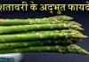 शतावरी क्या है? जानिए इसके अद्भुत फायदे | Benefits of Asparagus in Hindi asparagus in hindi