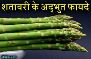 Benefits of Asparagus in Hindi | शतावरी के अचूक फायदे