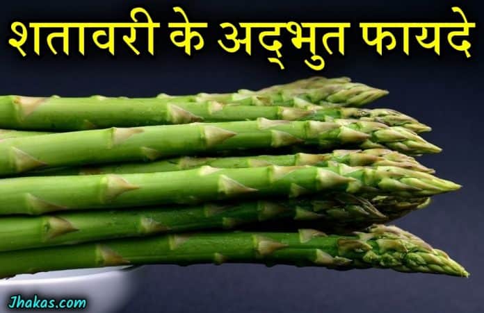 asparagus in hindi