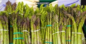 Benefits of Asparagus in Hindi | शतावरी के अचूक फायदे