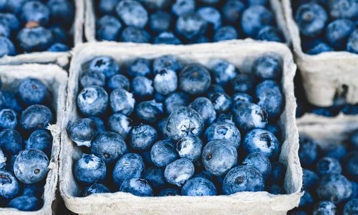 blueberry benefits in hindi