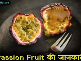 passion fruit in hindi