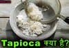Tapioca क्या है? जानिए इसके अचंभित करने वाले फायदे tapioca in hindi