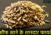 जानिए सौंफ खाने के शानदार फायदे | Benefits of Fennel Seeds in Hindi fennel seeds in hindi