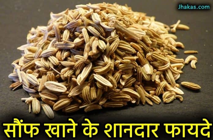 fennel seeds in hindi