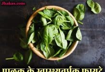पालक के फायदे जानकर चौंक जाएंगे आप | Benefits of Spinach in Hindi spinach in hindi