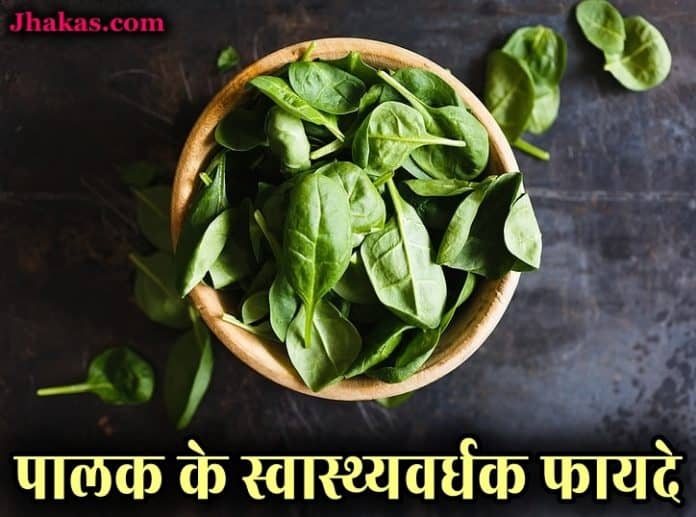 spinach in hindi