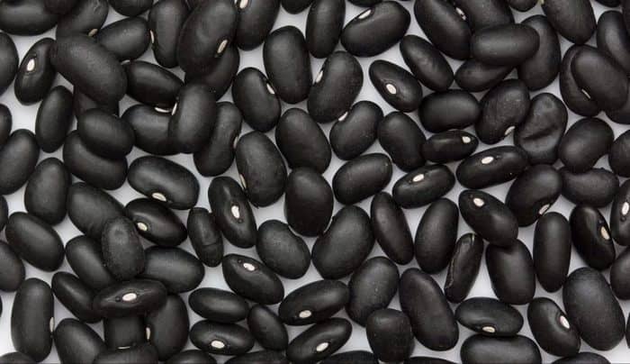 black beans benefits in hindi