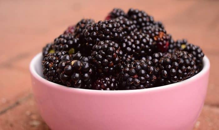 blackberry benefits in hindi